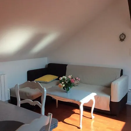 Le Massilia Comble شقة فيشي