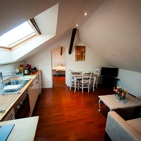 Le Massilia Comble * فيشي